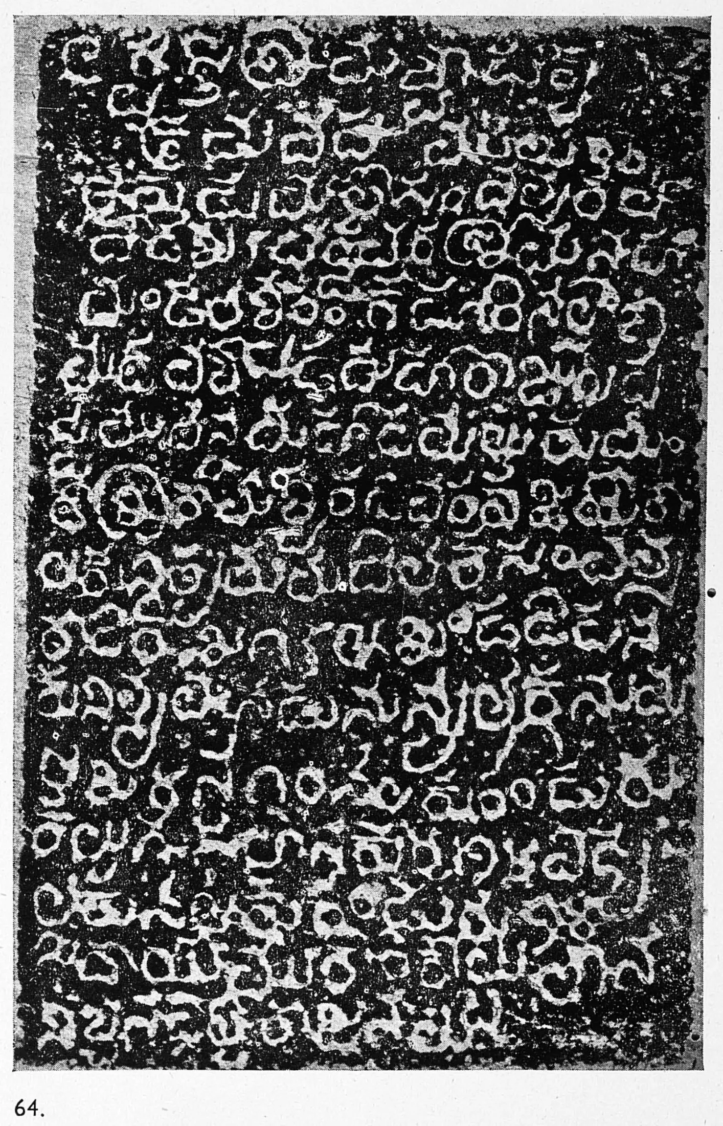 Ink impression of an inscribed stone, white Telugu letters on a mottled black ground, sixteen lines numbered 2 to 16.