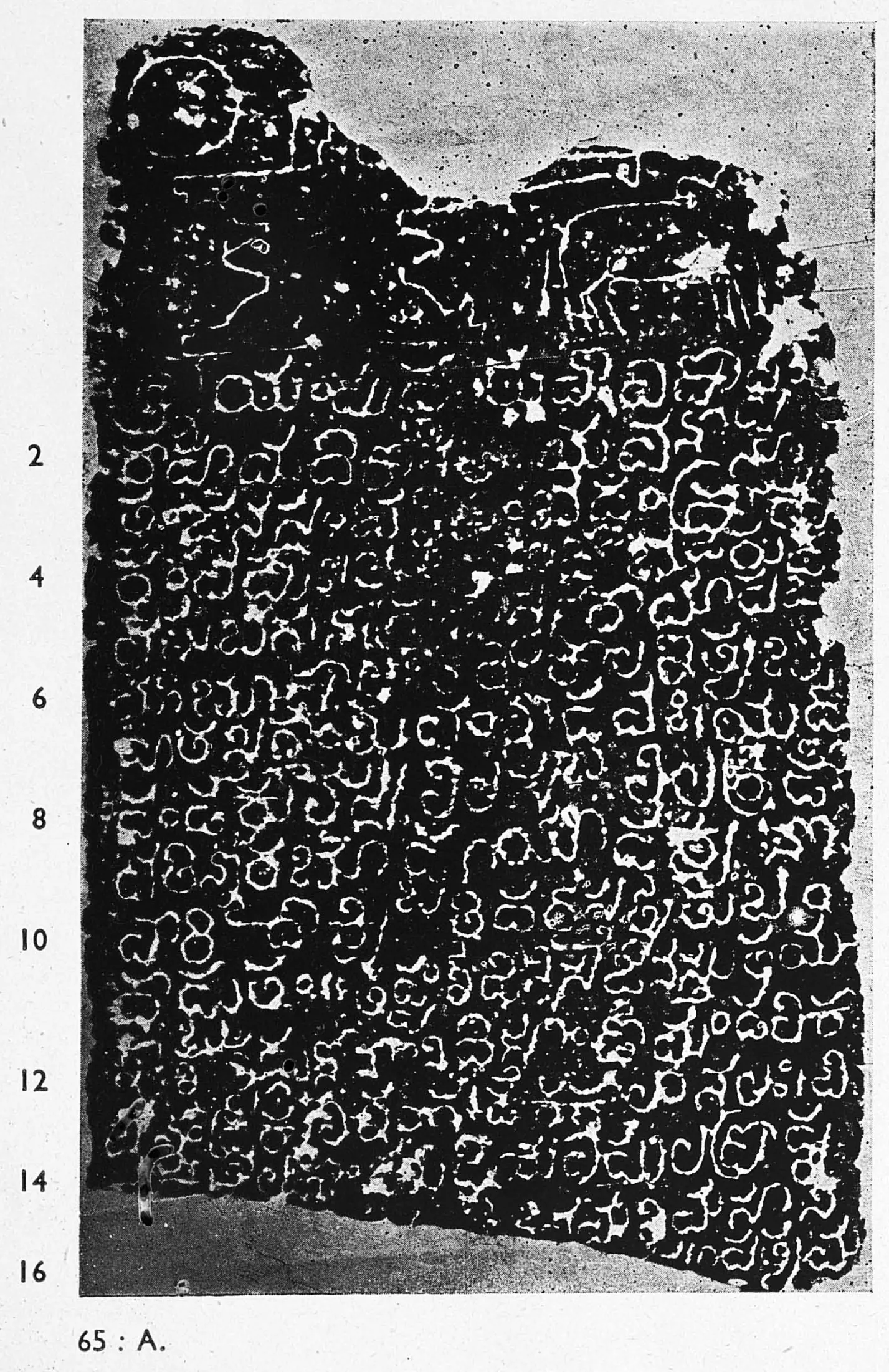 Ink impression of a broken inscribed stone, white Telugu letters on black, sixteen numbered lines; the top left carries a damaged emblem and the upper right is broken away.