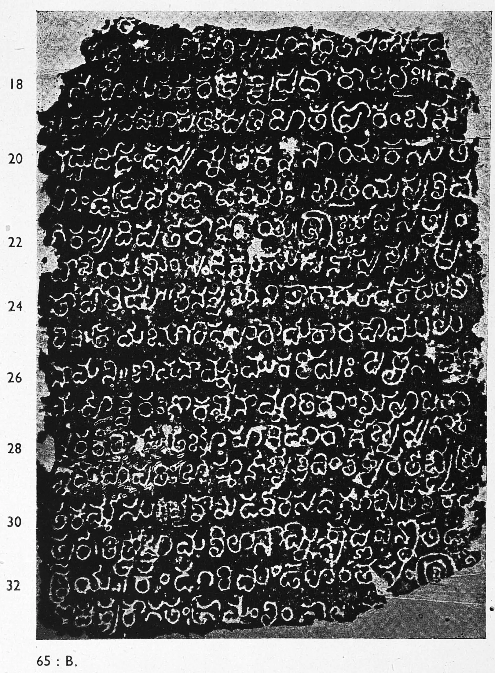 Ink impression of an inscribed stone, white Telugu letters on black, lines numbered 18 to 32, edges broken.
