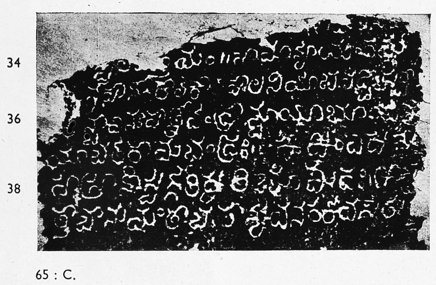 Ink impression of a broken inscribed fragment, white Telugu letters on black, six lines numbered 34 to 38.