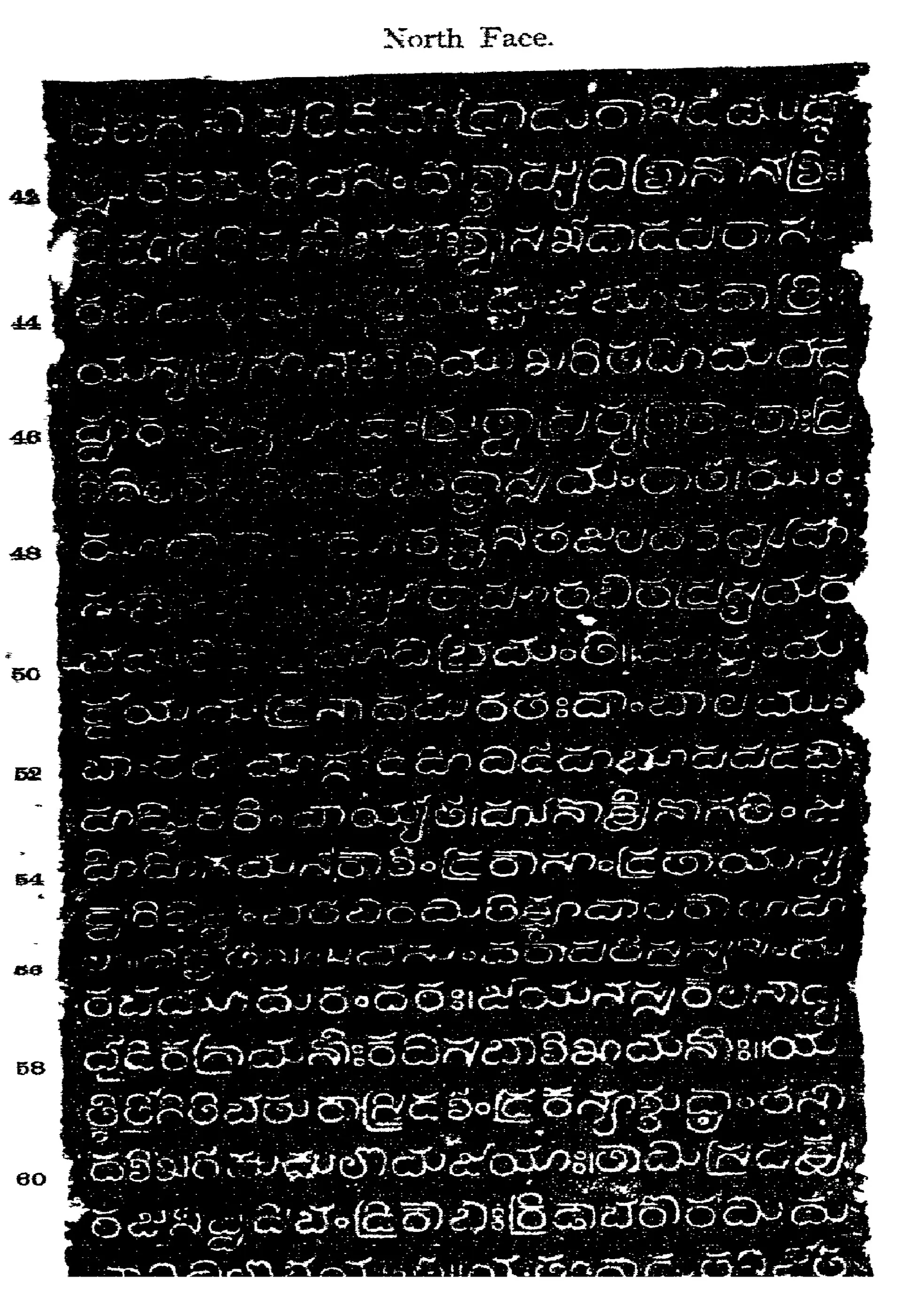 Ink impression of one face of an inscribed stone pillar, white Telugu letters on a black ground, nineteen horizontal lines with line numbers 43 to 60 in the left margin and the printed heading "North Face."
