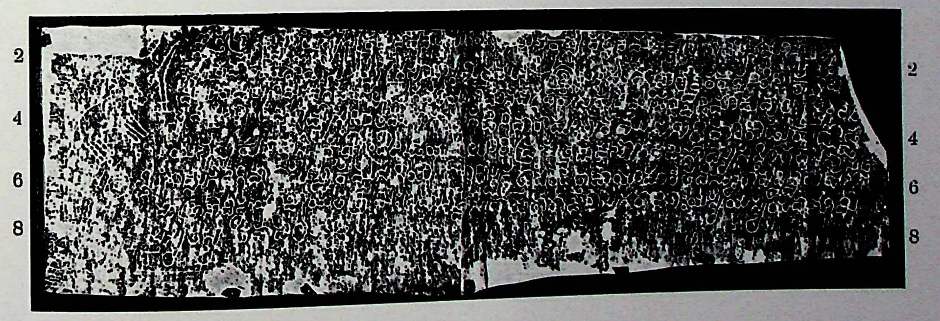 Ink impression of a long, low inscribed stone, small white Telugu letters on black, eight lines numbered at both ends; photographed on a grey ground.