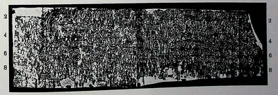 Ink impression of a long, low inscribed stone, small white Telugu letters on black, eight lines numbered at both ends; photographed on a grey ground.
