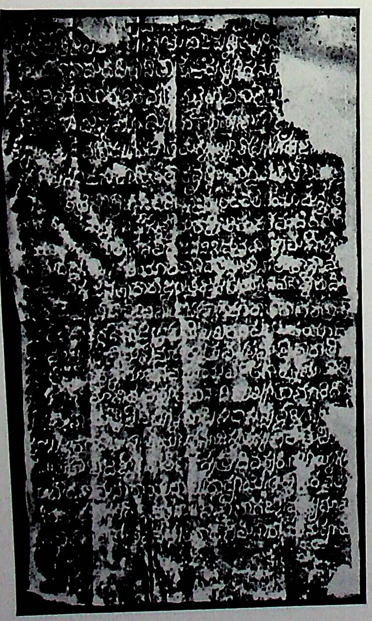 Ink impression of the first side of a broken inscribed stone, white Telugu letters on black, crossed by the creases of the paper estampage; the line numbers are lost under the scan watermark.